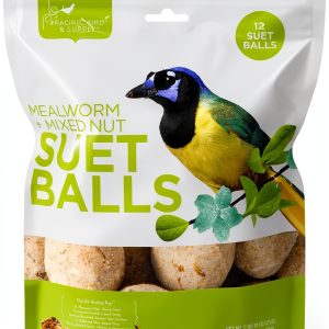 Suet Bird Food Pacific Bird No Melt Formula 28oz-0