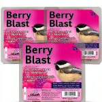 Heath Outdoor Products Berry Blast Suet Cakes for-0