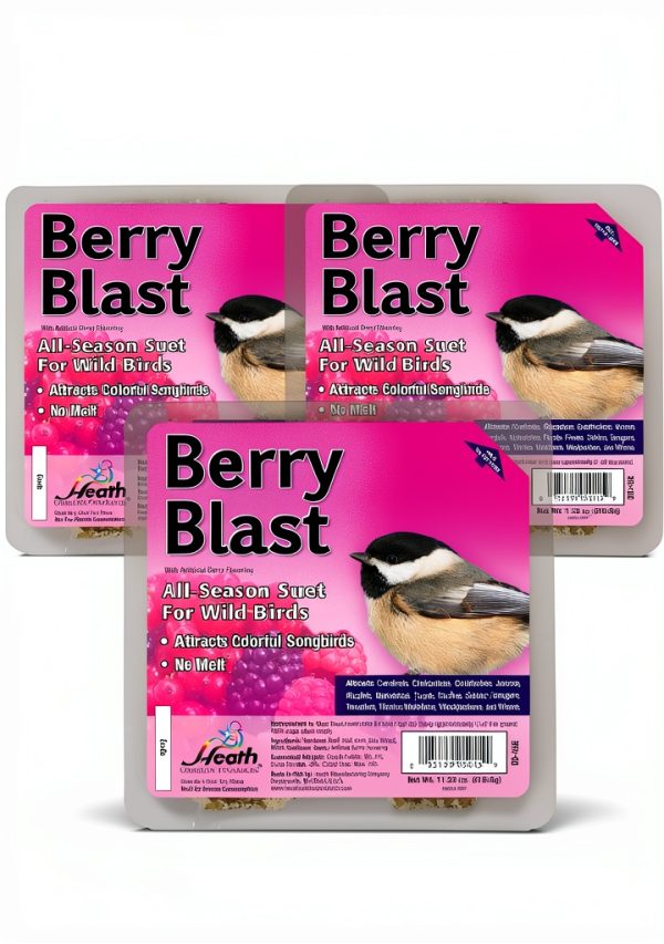 Heath Outdoor Products Berry Blast Suet Cakes for-0