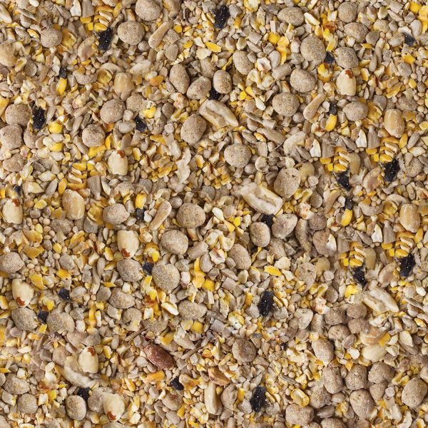 Blueberry Suet Bird Food by Central Garden & Pet Patio Lawn-3