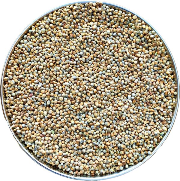 Pearl Millet Flour Gluten Free Nutty Flavor Nedteric Media-2