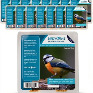Heath Outdoor Suet Cakes High Energy Bird Food Value Pack-0
