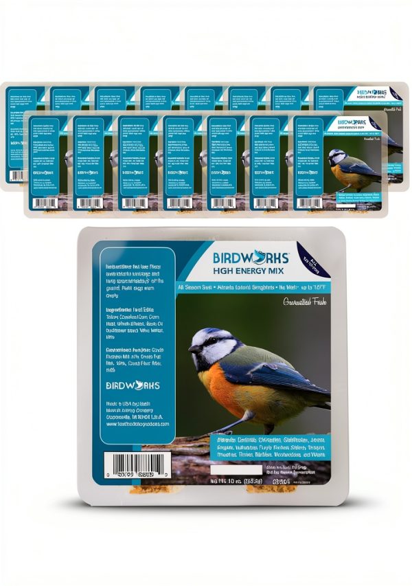 Heath Outdoor Suet Cakes High Energy Bird Food Value Pack-0
