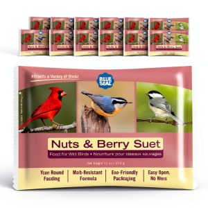 Blue Seal Suet Cake Bird Food Melt Resistant-0