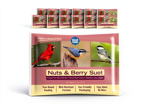 Blue Seal Suet Cake Bird Food Melt Resistant-0