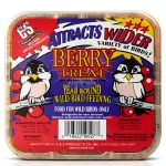 C&S Berry Suet Wild Bird Food High Energy Formula-0