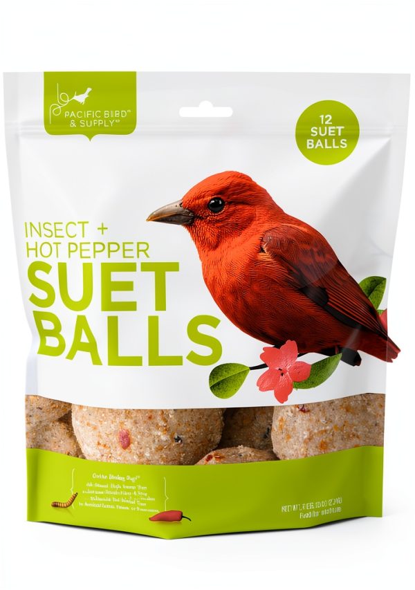 Pacific Bird Suet Food Woodpecker Attractant No Melt Formula-0