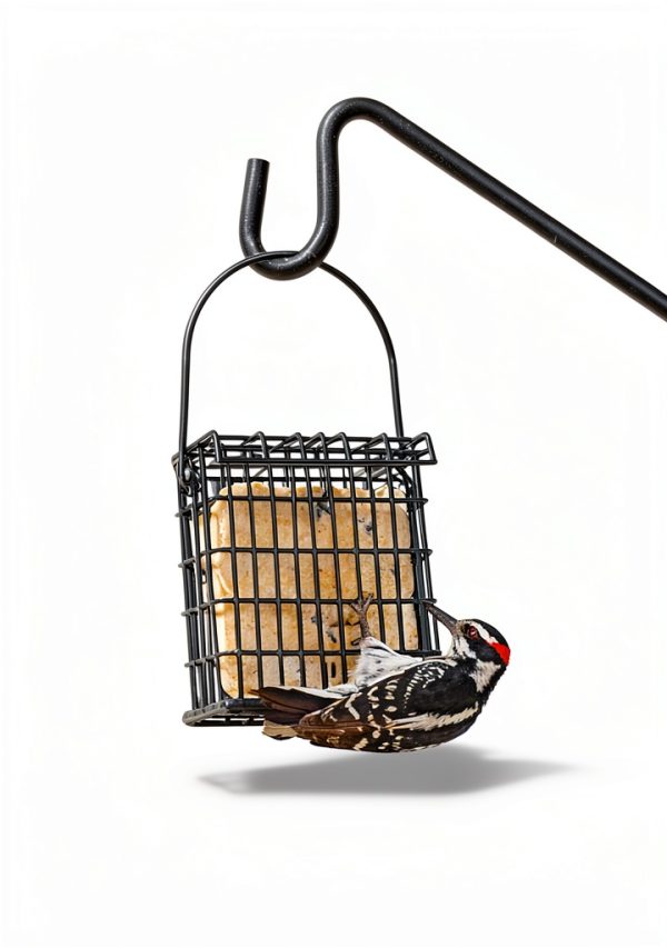 Wildlife Sciences Suet Bird Food 11 oz Cakes-2