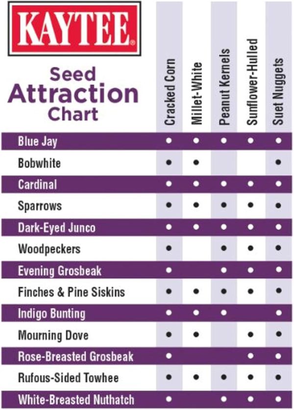 Blueberry Suet Bird Food by Central Garden & Pet Patio Lawn-4