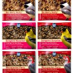 Kent Suet Bird Food Blue Seal No Melt Treat Feeder Friendly-0