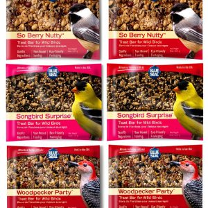 Kent Suet Bird Food Blue Seal No Melt Treat Feeder Friendly-0