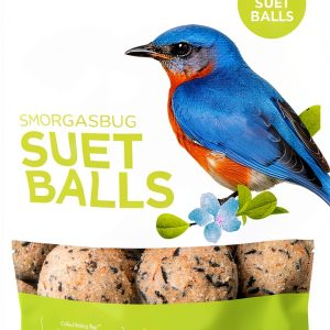 Pacific Bird Suet Food for Wild Birds High Energy-0