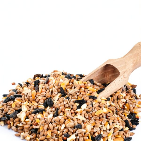 Heath Outdoor Suet Cakes High Energy Bird Food Value Pack-2